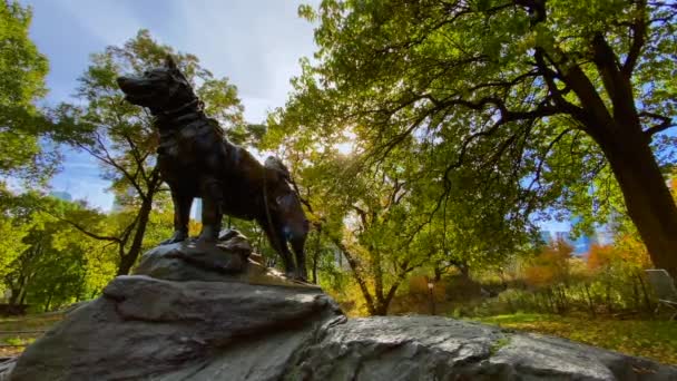 ニューヨーク市中央公園の有名な犬バルトを描いた1927年の像は 晴れた日に — ストック動画