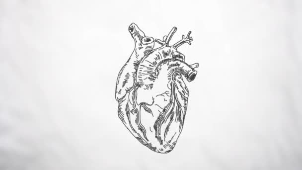 Traditional Minimal Style Animation Heart Pumping Loop — Stock Video