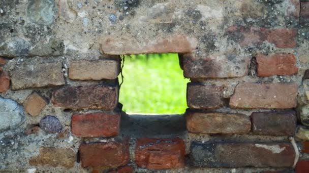 Buco Vecchio Muro Mattoni Con Erba Verde Dall Altra Parte — Video Stock