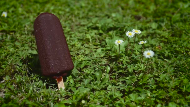 Мороженое Крокколата Тает Траве — стоковое видео