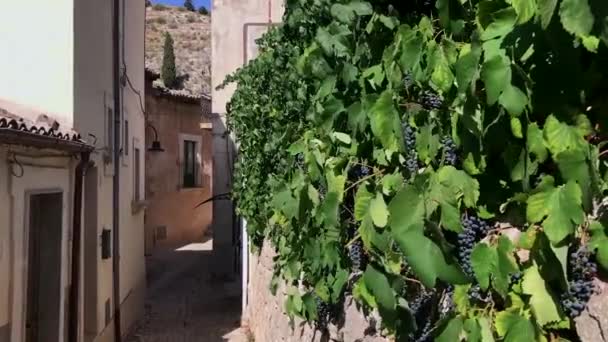 Några Vinrankor Gammal Stil Siciliansk Gata Solig Dag — Stockvideo
