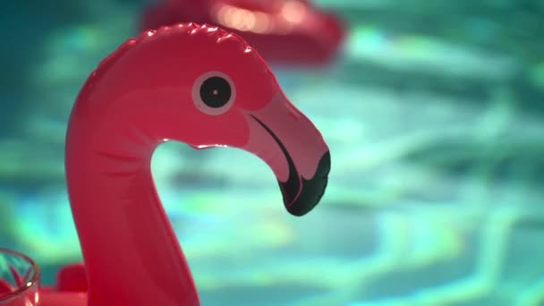 Güneşli Bir Yaz Gününde Havuzda Yüzen Şişme Flamingo Kafasını Yavaş — Stok video