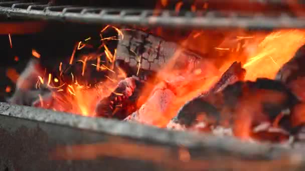 Närbild Träkol Brinner Grill Med Hel Del Lågor Och Flammor — Stockvideo