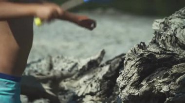 Bazı çocuklar kumsalda bir ağacı yıkıp oynuyorlar.