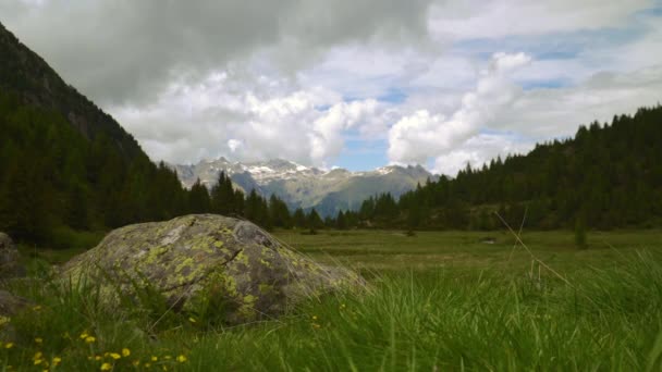 Campo Abierto Una Roca Con Montaña Fondo Nubes Bosques — Vídeos de Stock