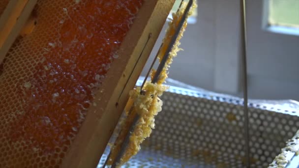 Man Working Honey Wax Hive Frame — Stock Video