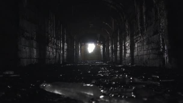Intern Zicht Ruïnes Van Een Bunker Van Eerste Wereldoorlog Bedekt — Stockvideo