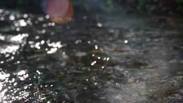 Nahaufnahme Eines Kleinen Flusses Sommer Der Zeitlupe Fließt — Stockvideo
