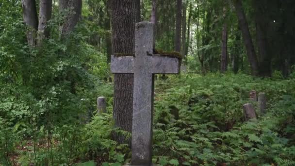 Een Stenen Kruis Dat Uit Het Bos Komt Een Vergeten — Stockvideo