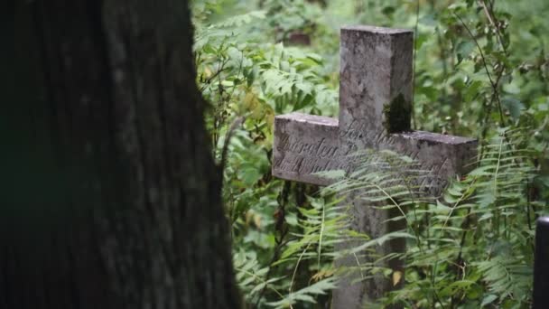Una Cruz Piedra Olvidada Una Tumba Abandonada Bosque — Vídeo de stock