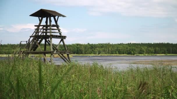 沼の湖でバードウォッチングのための木の展望台 — ストック動画