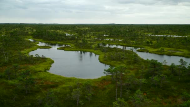 Letecký Pohled Krajinu Národním Parku Kemeri Lotyšsku Rybníky Jezerem Divočinou Royalty Free Stock Video