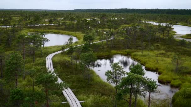 Promenády Rybníky Národním Parku Kemeri Bogs Lotyšsku Royalty Free Stock Video