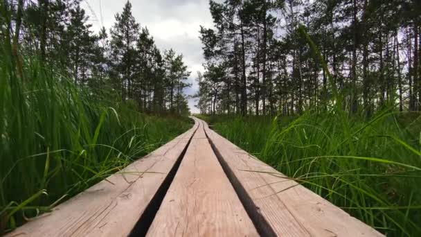 Extreme Wide Shot Boardwalk Forest Kemeri National Park Latvia Stock Footage