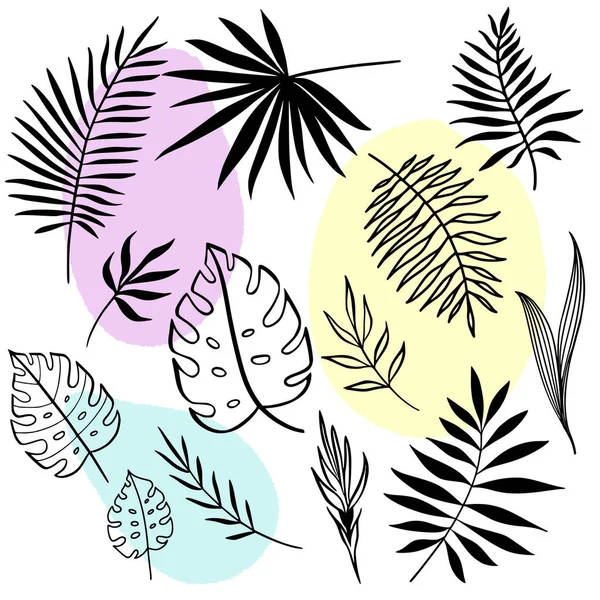 Conjunto Hojas Tropicales Elementos Arte Línea Vectorial Resumen Formas Orgánicas — Vector de stock