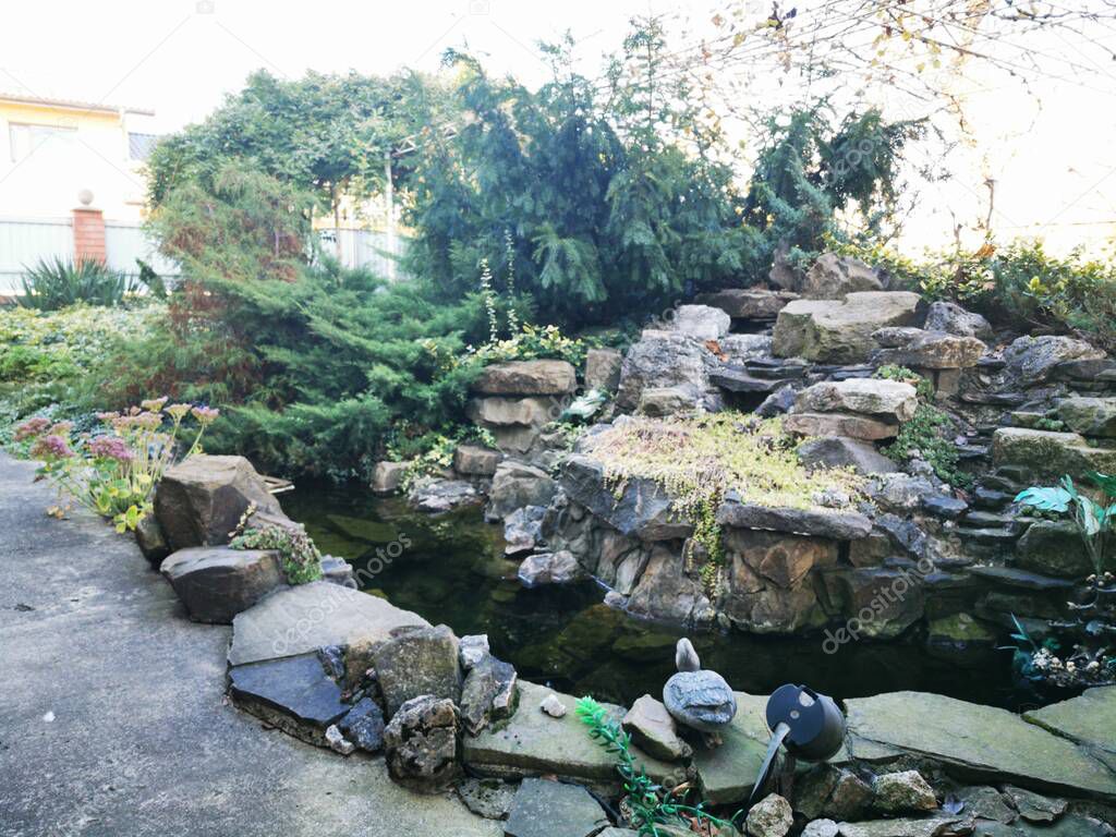 Alpine slide in the garden in autumn with a pond. Bright beautiful ornamental plants for a rock garden. Landscape design concept.