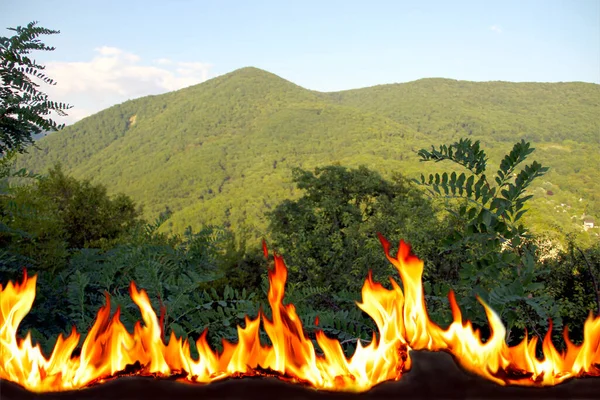 Палаюче Полум Тлі Гір Зеленого Лісу Концепція Лісової Пожежної Безпеки — стокове фото