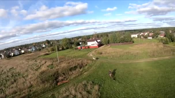 Volando Avión Tripulado Fpv Detrás Caballo Una Chica Caballo Campo — Vídeo de stock