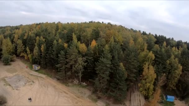 Volant Sur Une Carrière Forêt Sable Blanc Arbres Jaunes Automne — Video