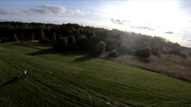 Bir FPV 'nin üzerinde at sırtında uçarken, at üstünde bir kız, yeşil bir tarlada, ormanın arka planında, çalılarda, ağaçlarda, mavi gökyüzünde, beyaz bulutlarda