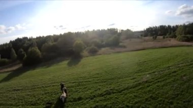 Bir FPV 'nin üzerinde at sırtında uçarken, at üstünde bir kız, yeşil bir tarlada, ormanın arka planında, çalılarda, ağaçlarda, mavi gökyüzünde, beyaz bulutlarda