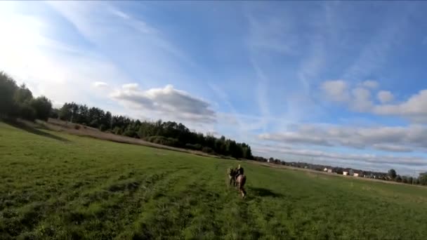 Vliegen Een Fpv Drone Achter Een Paard Een Meisje Een — Stockvideo