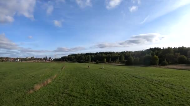 Letící Fpv Drone Koněm Dívka Koni Zeleném Poli Pozadí Lesa — Stock video