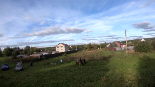 Latający Dronie Fpv Koniem Dziewczyna Koniu Zielonym Polu Tle Lasu — Wideo stockowe