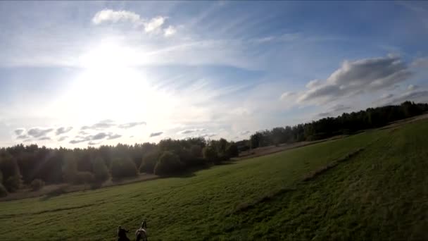 馬の後ろのFpvドローン 馬の上の女の子 緑のフィールドで 青い空 白い雲の背景に飛んで — ストック動画