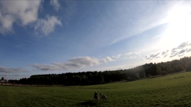 Vliegen Een Fpv Drone Achter Een Paard Een Meisje Een — Stockvideo