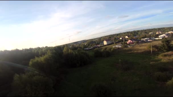 Letící Fpv Drone Koněm Dívka Koni Zeleném Poli Pozadí Lesa — Stock video