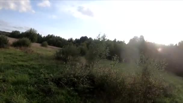 Volant Sur Drone Fpv Derrière Cheval Une Fille Sur Cheval — Video