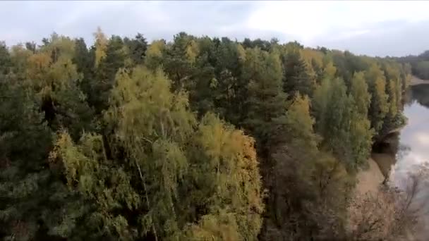 Flyger Ett Stenbrott Vit Sand Skog Gula Träd Höst Skönhet — Stockvideo