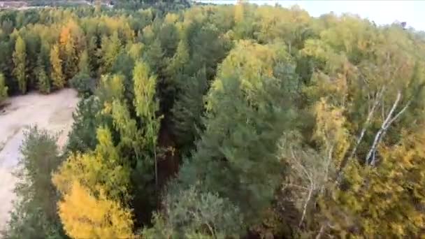 Latający Kamieniołomie Biały Piasek Las Żółty Drzewa Jesień Piękno Woda — Wideo stockowe