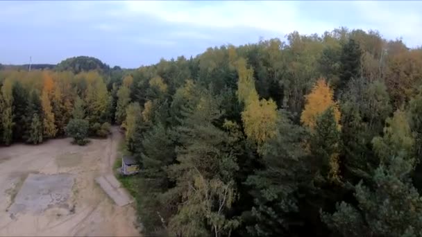 Flyger Ett Stenbrott Vit Sand Skog Gula Träd Höst Skönhet — Stockvideo