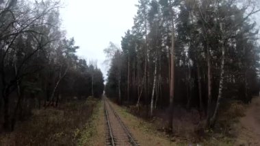 Ormanda bir FPV insansız hava aracıyla uçmak. Demiryolu, orman sonbaharı, ufuk.