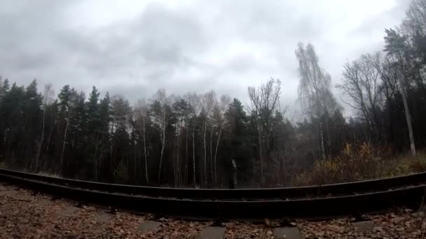 Полет Дроне Fpv Лесу Железной Дороге Лес Осень Горизонт — стоковое видео