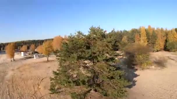 Flyger Ett Stenbrott Vit Sand Skog Gula Träd Höst Skönhet — Stockvideo