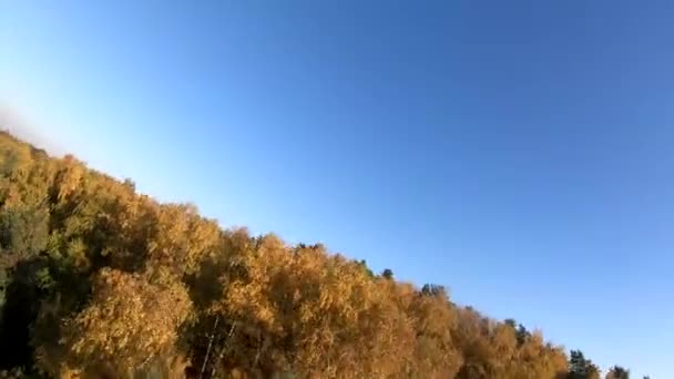 Volo Una Cava Sabbia Bianca Foresta Giallo Alberi Autunno Bellezza — Video Stock