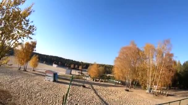 Volo Una Cava Sabbia Bianca Foresta Giallo Alberi Autunno Bellezza — Video Stock