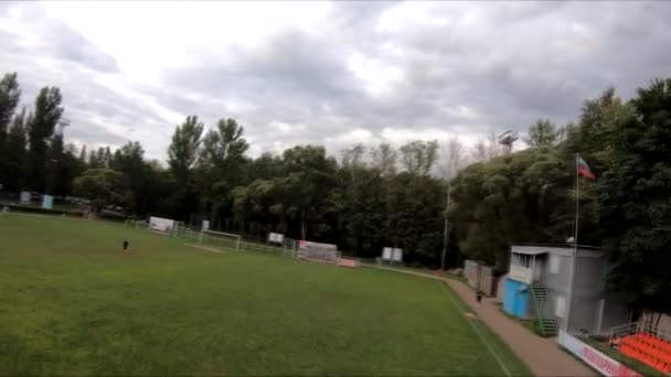 Flyger Stadion Där Människor Spelar Fotboll Den Gröna Gräsmattan Kör — Stockvideo