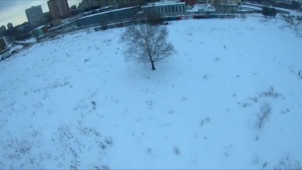 Quadcopter Test Flights Winter Field Stadium White Snow Bird Eye — Vídeo de Stock