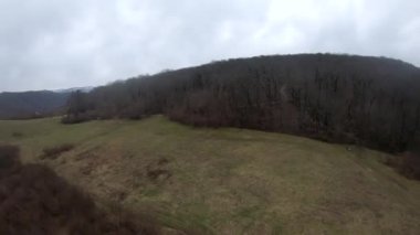 fpv Quadcopter uçuşu dağlarda, Sochi, çimen bir açıklıkta, gri yeşil orman, güzel yüksek kayalar, büyük taşlar, mavi gökyüzü ve deniz ufukta