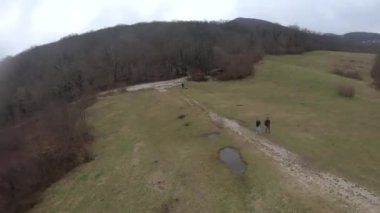 fpv Quadcopter uçuşu dağlarda, Sochi, çimen bir açıklıkta, gri yeşil orman, güzel yüksek kayalar, büyük taşlar, mavi gökyüzü ve deniz ufukta