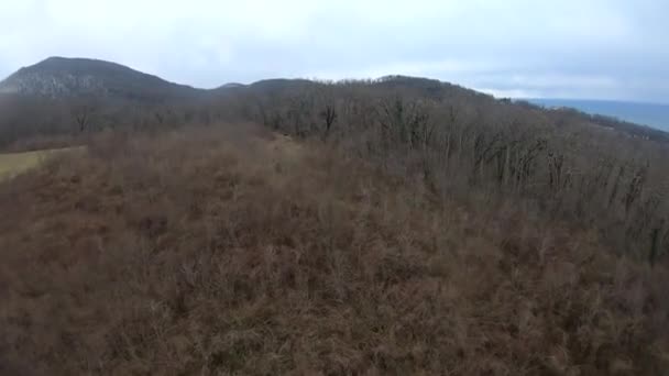 Fpv Quadcopter Flygning Bergen Sotji Gräs Glänta Grå Grön Skog — Stockvideo