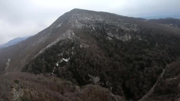 Fpv山 グレード 灰色の緑の森 美しい高い岩 巨大な石 青い空と水平線上の海に草の飛行 — ストック動画