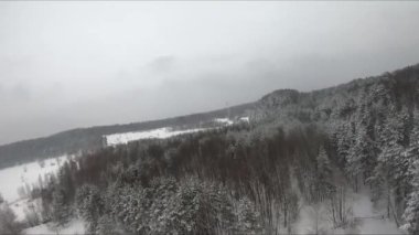 Buzlu bir gölün yakınındaki karlı bir ormanda FPV drone uçuşu, beyaz çam ağaçları, güzel manzaralar, sert soğuk kış, kuadkopter