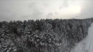 Buzlu bir gölün yakınındaki karlı bir ormanda FPV drone uçuşu, beyaz çam ağaçları, güzel manzaralar, sert soğuk kış, kuadkopter