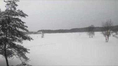 Buzlu bir gölün yakınındaki karlı bir ormanda FPV drone uçuşu, beyaz çam ağaçları, güzel manzaralar, sert soğuk kış, kuadkopter