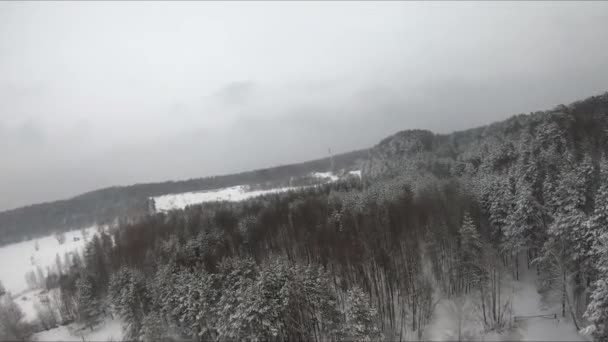 Vuelo Fpv Drone Bosque Nevado Cerca Lago Helado Pinos Blancos — Vídeo de stock